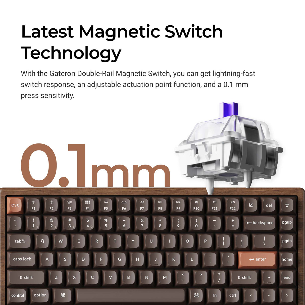 K2 HE All-Wood Special Edition Magnetic Switch