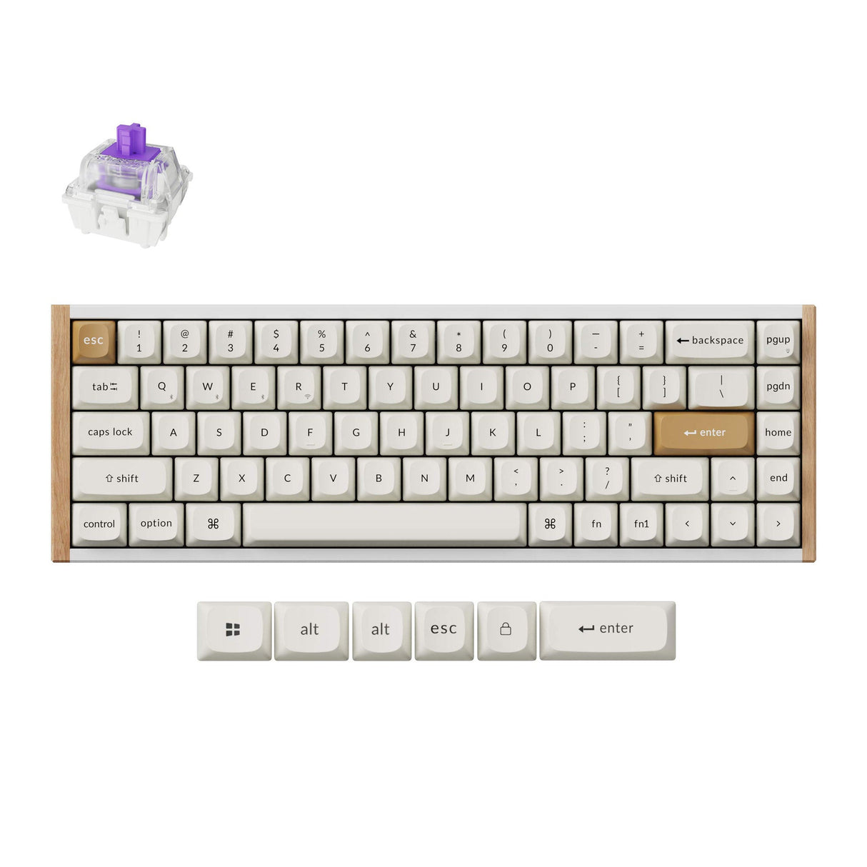 Keychron K6 HE 65 Percent Layout Wireless Magnetic Switch Custom Keyboard Special Edition Wooden White RGB Backlight Double-Shot PBT Keycaps