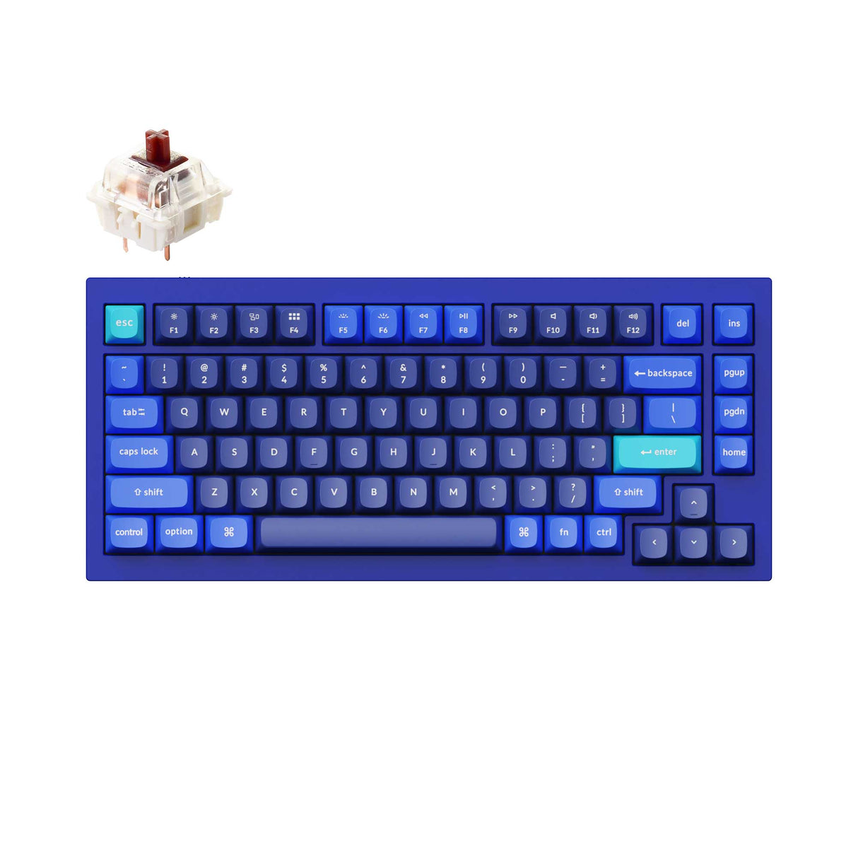 Keychron Q1 QMK VIA custom mechanical keyboard 75 percent layout full aluminum blue frame for Mac Windows iOS RGB backlight with hot swappable Gateron G Pro switch brown
