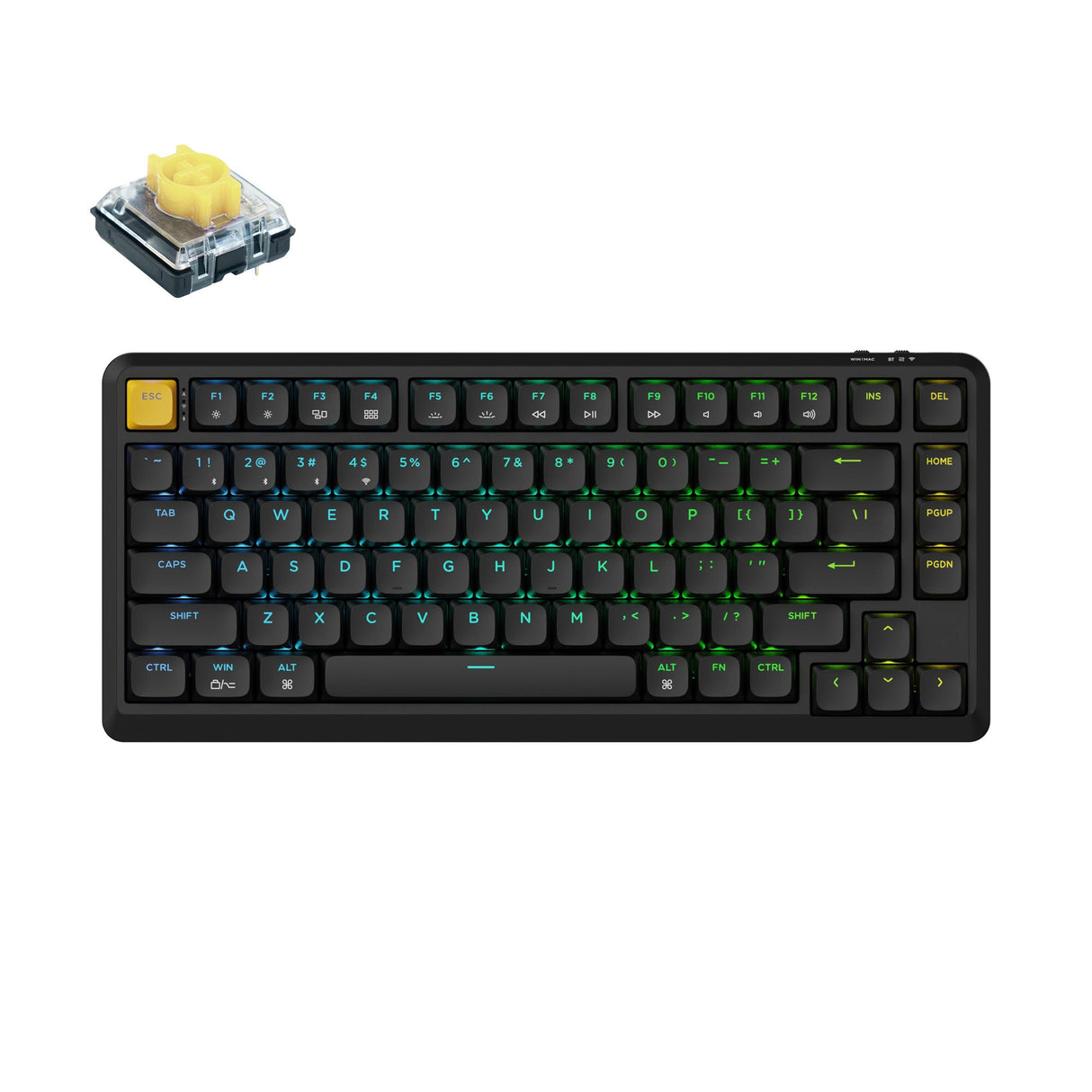 Keychron J1 Swappable RGB Backlight Banana Switch - Black
