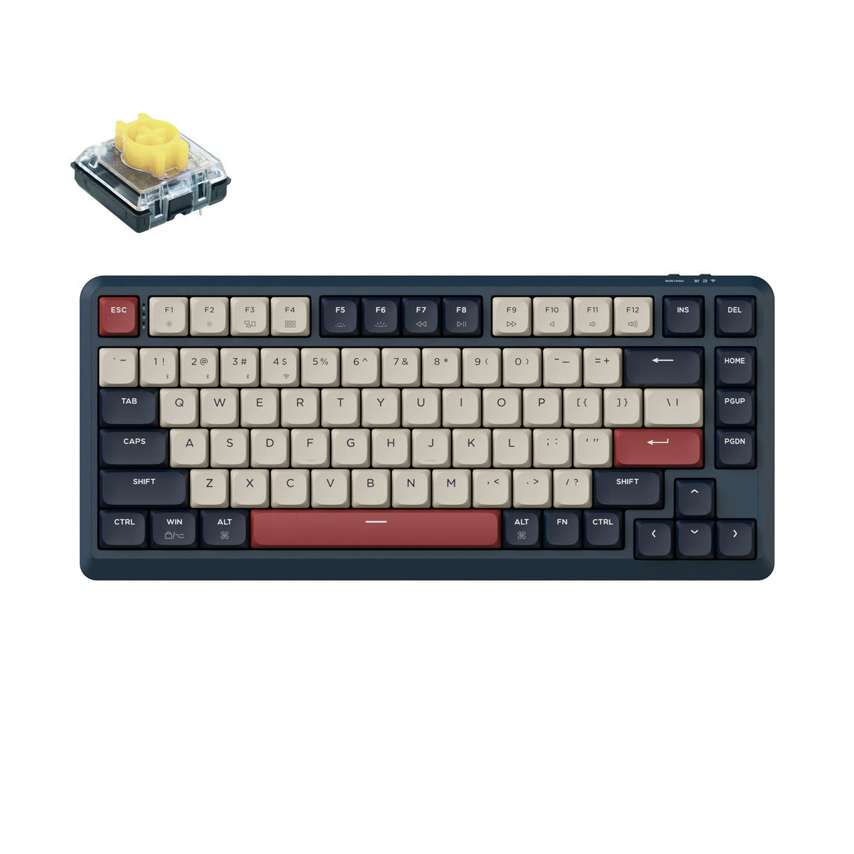 Keychron J1 Swappable RGB Backlight Banana Switch - Dark Blue