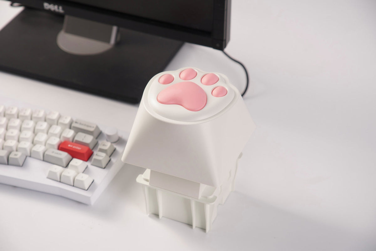 Keychron-Big-Kitty-Paw-Key-19.jpg__PID:d6a6821d-8f56-4f56-80fd-7085cbf8fcb3