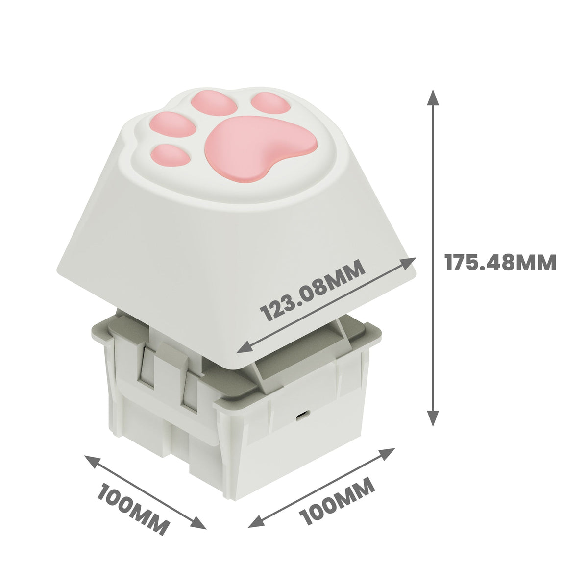 Size-of-Keychron-Big-Kitty-Paw-Key.jpg__PID:201d732a-5a3e-4a93-96e0-f95a881ec92a